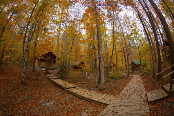 Los Bosques Más Bellos Turquía Parque Nacional Con Montón Yedigller —  Fotos de Stock