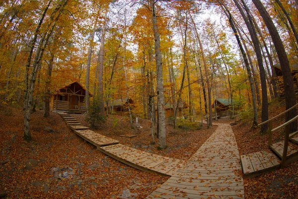 Los Bosques Más Bellos Turquía Parque Nacional Con Montón Yedigller — Foto de Stock