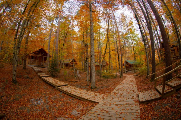 Los Bosques Más Bellos Turquía Parque Nacional Con Montón Yedigller —  Fotos de Stock