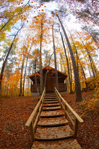 Turkije Mooiste Bossen Nationaal Park Met Veel Yedigller — Stockfoto