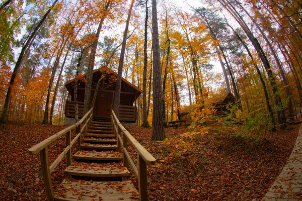 Los Bosques Más Bellos Turquía Parque Nacional Con Montón Yedigller — Foto de Stock