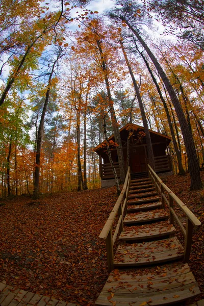 Los Bosques Más Bellos Turquía Parque Nacional Con Montón Yedigller — Foto de Stock