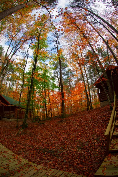 Los Bosques Más Bellos Turquía Parque Nacional Con Montón Yedigller — Foto de Stock