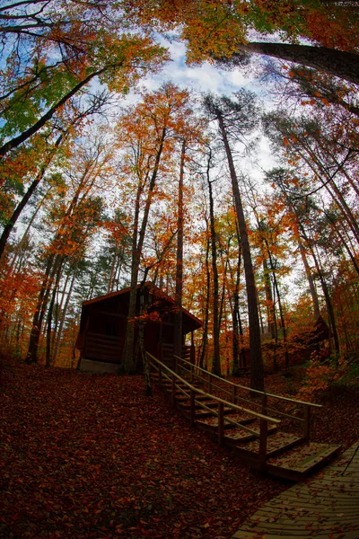 Los Bosques Más Bellos Turquía Parque Nacional Con Montón Yedigller —  Fotos de Stock