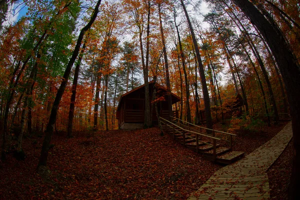 Los Bosques Más Bellos Turquía Parque Nacional Con Montón Yedigller — Foto de Stock