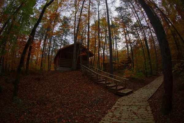 Los Bosques Más Bellos Turquía Parque Nacional Con Montón Yedigller — Foto de Stock