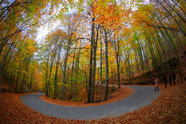 Zevenmeren Landschap Bolu Turkije — Stockfoto