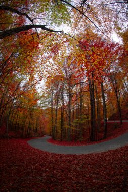 Yedinci Göller ve Manzara / Bolu - Türkiye 