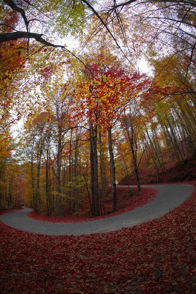 Sevenlakes Paisaje Bolu Turquía — Foto de Stock