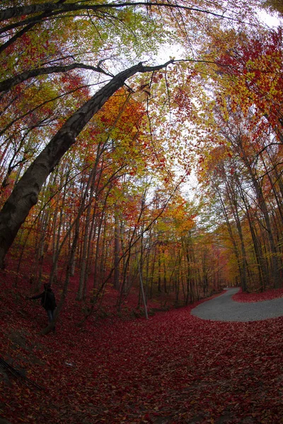 Zevenmeren Landschap Bolu Turkije — Stockfoto