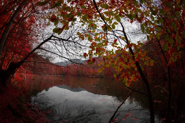 Sevenlakes Paisaje Bolu Turquía — Foto de Stock