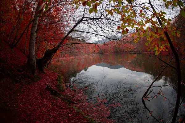 Sevenlakes Paisaje Bolu Turquía — Foto de Stock