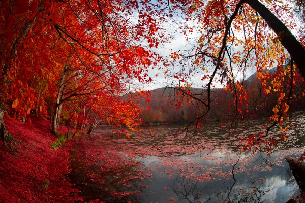 Sevenlakes Landscape Bolu Turecko — Stock fotografie