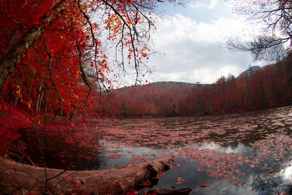 Seen Und Landschaft Bolu Türkei — Stockfoto