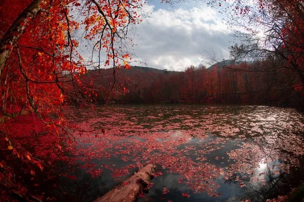 Sevenlakes Landscape Bolu Turkiet — Stockfoto