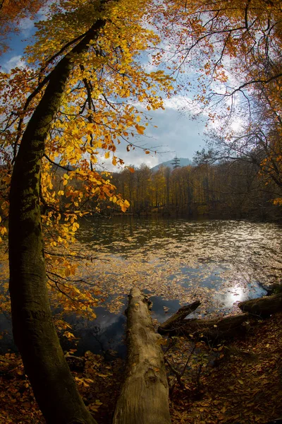 Sevenlakes Landscape Bolu Turquie — Photo