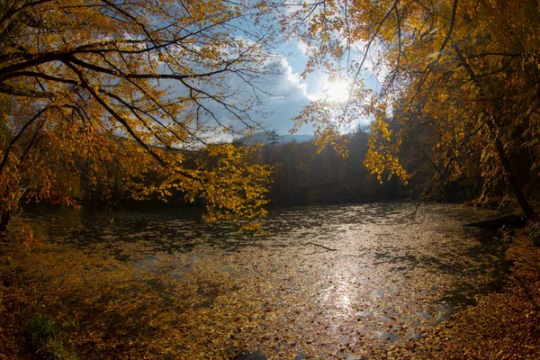 Sevenlakes Landscape Bolu Turquie — Photo