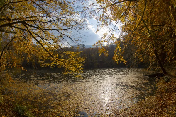 Sevenlakes Landscape Bolu Turquie — Photo