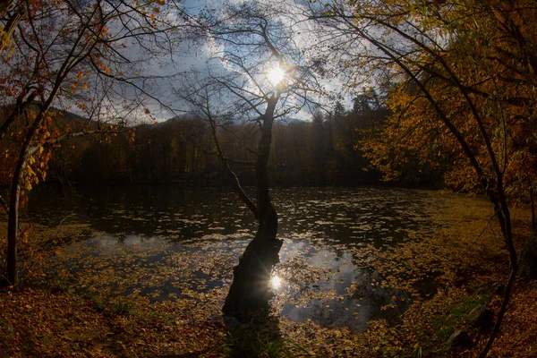 Sevenlakes Paisagem Bolu Turquia — Fotografia de Stock