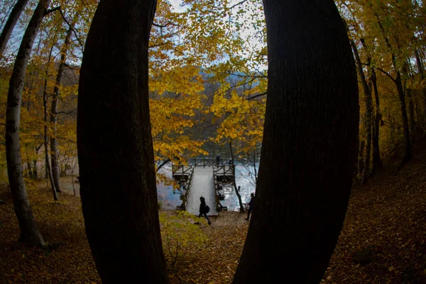 Sevenlakes Landscape Bolu Turquie — Photo