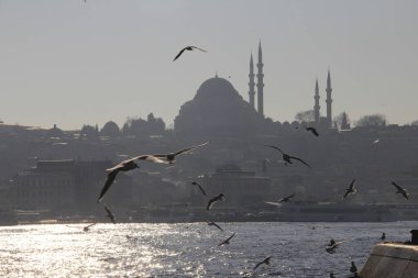 İstanbul - Türkiye: 28 Ekim 2020, İstanbul, Türkiye kentte ve ülkenin 81 ilinden birinde yer aldı. Ülkedeki en kalabalık, ekonomik, tarihsel ve sosyo-kültürel olarak en önde gelen şehirdir..