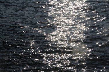 İstanbul - Türkiye: 28 Ekim 2020, İstanbul, Türkiye kentte ve ülkenin 81 ilinden birinde yer aldı. Ülkedeki en kalabalık, ekonomik, tarihsel ve sosyo-kültürel olarak en önde gelen şehirdir..