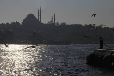 İstanbul - Türkiye: 28 Ekim 2020, İstanbul, Türkiye kentte ve ülkenin 81 ilinden birinde yer aldı. Ülkedeki en kalabalık, ekonomik, tarihsel ve sosyo-kültürel olarak en önde gelen şehirdir..