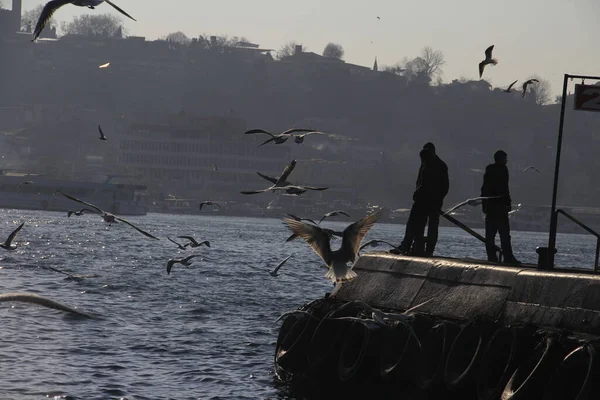 Istambul Turquia Outubro 2020 Istambul Turquia Situada Cidade Uma Das — Fotografia de Stock