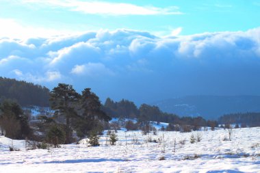 Çömlek aleti ya da pişirme aleti, genellikle kil, yumuşak toprak ve fırında pişirilmiş.