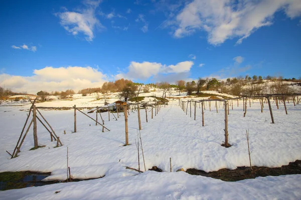 Outil Poterie Ustensile Cuisine Généralement Fait Argile Terre Molle Cuit — Photo