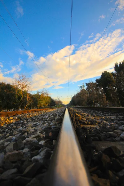 Trenes Entre Árboles Simétricos — Foto de Stock