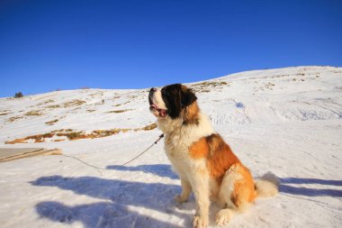 Bursa 'nın Uludağ kenti, 2543 metre yükseklikteki dağlarla ve Türkiye' nin en büyük kış sporları merkezinin doğasıyla iç içe..