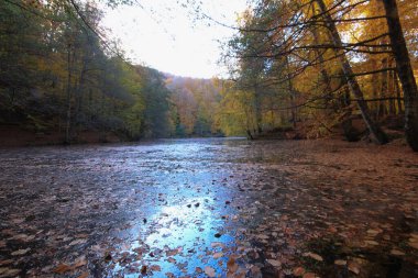 Yedi gölü, yemyeşil bitkileri ve hayvanları, küçük şelaleleri, patikaları ve kaplıcaları olan büyük doğal alan..