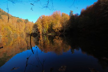 Yedi gölü, yemyeşil bitkileri ve hayvanları, küçük şelaleleri, patikaları ve kaplıcaları olan büyük doğal alan..