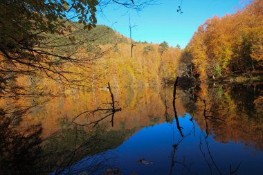 Yedi gölü, yemyeşil bitkileri ve hayvanları, küçük şelaleleri, patikaları ve kaplıcaları olan büyük doğal alan..