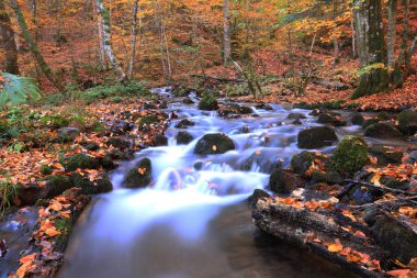 Yedi gölü, yemyeşil bitkileri ve hayvanları, küçük şelaleleri, patikaları ve kaplıcaları olan büyük doğal alan..