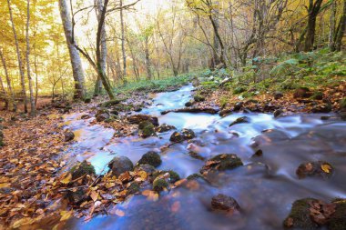 Yedi gölü, yemyeşil bitkileri ve hayvanları, küçük şelaleleri, patikaları ve kaplıcaları olan büyük doğal alan..