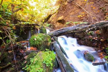 Yedi gölü, yemyeşil bitkileri ve hayvanları, küçük şelaleleri, patikaları ve kaplıcaları olan büyük doğal alan..