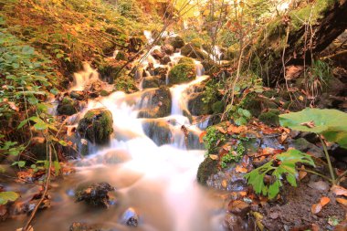 Yedi gölü, yemyeşil bitkileri ve hayvanları, küçük şelaleleri, patikaları ve kaplıcaları olan büyük doğal alan..