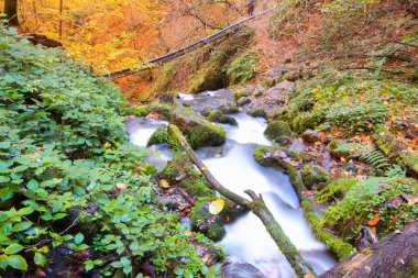 Yedi gölü, yemyeşil bitkileri ve hayvanları, küçük şelaleleri, patikaları ve kaplıcaları olan büyük doğal alan..