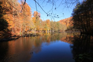 Yedi gölü, yemyeşil bitkileri ve hayvanları, küçük şelaleleri, patikaları ve kaplıcaları olan büyük doğal alan..