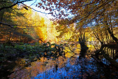 Yedi gölü, yemyeşil bitkileri ve hayvanları, küçük şelaleleri, patikaları ve kaplıcaları olan büyük doğal alan..