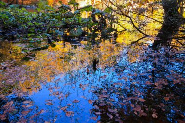 Yedi gölü, yemyeşil bitkileri ve hayvanları, küçük şelaleleri, patikaları ve kaplıcaları olan büyük doğal alan..
