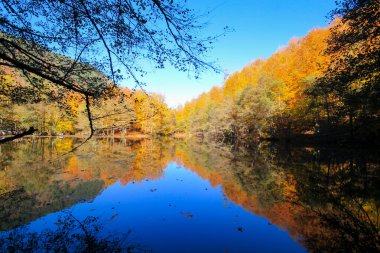 Yedi gölü, yemyeşil bitkileri ve hayvanları, küçük şelaleleri, patikaları ve kaplıcaları olan büyük doğal alan..