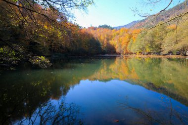 Yedi gölü, yemyeşil bitkileri ve hayvanları, küçük şelaleleri, patikaları ve kaplıcaları olan büyük doğal alan..