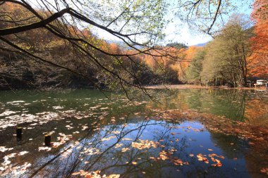 Yedi gölü, yemyeşil bitkileri ve hayvanları, küçük şelaleleri, patikaları ve kaplıcaları olan büyük doğal alan..