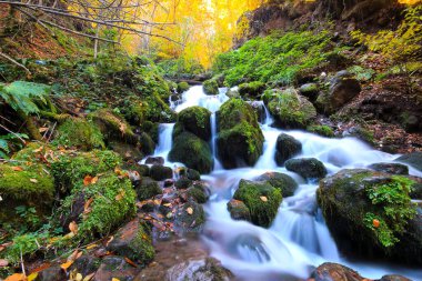 Yedi gölü, yemyeşil bitkileri ve hayvanları, küçük şelaleleri, patikaları ve kaplıcaları olan büyük doğal alan..