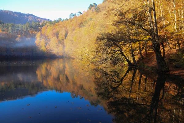 Großes Naturgebiet Mit Sieben Seen Üppigen Pflanzen Und Tieren Kleinen — Stockfoto