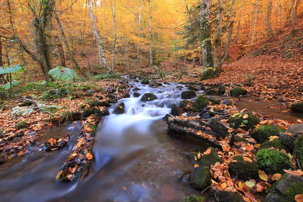 Large Natural Area Seven Lakes Lush Plants Animals Small Waterfalls — Stock Photo, Image