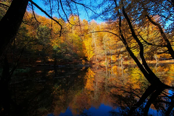 Grande Zone Naturelle Avec Sept Lacs Plantes Animaux Luxuriants Petites — Photo